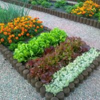 An example of a light garden design at a summer house photo