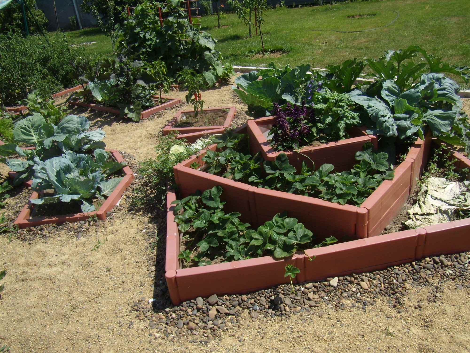 An example of a beautiful garden design in a private courtyard