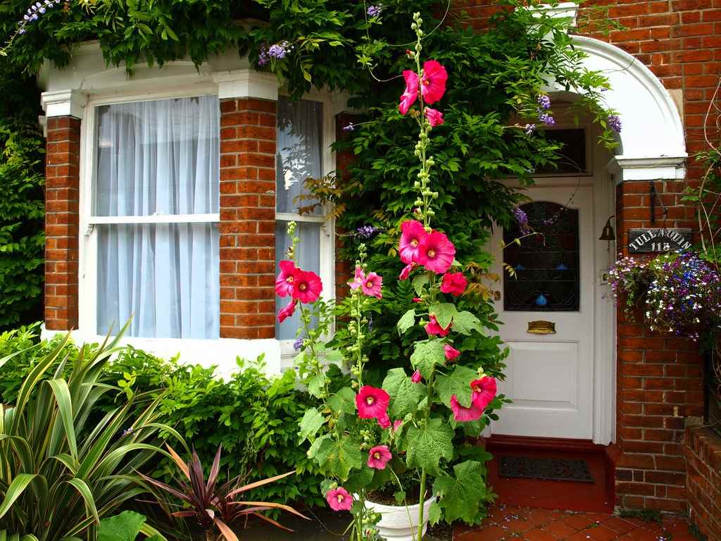 variante di un bellissimo arredamento giardino anteriore in un cortile privato