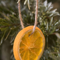 come decorare un albero di Natale nell'arancia 2018