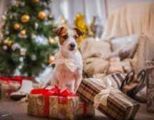 Decorazione dell'albero di Natale per l'anno del cane