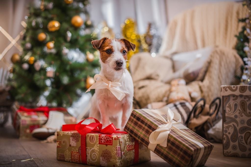 Dekor božićnog drvca za godinu psa