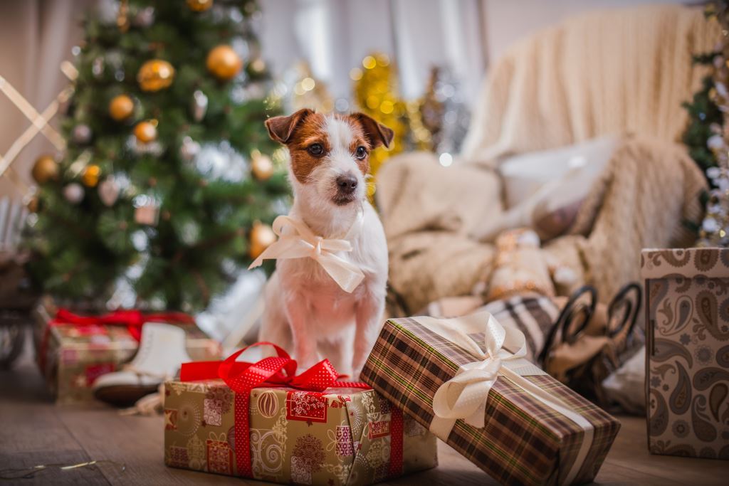 Hiasan pokok Krismas untuk tahun anjing