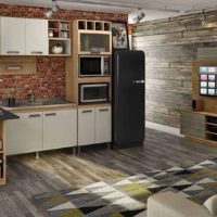 kitchen loft in a studio apartment