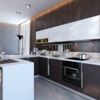 cucina wenge ricco di interni