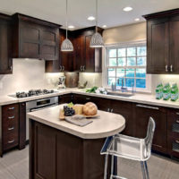 stylish wenge kitchen