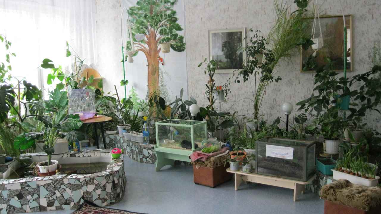 Un esempio di utilizzo di idee insolite per decorare un giardino d'inverno in una casa