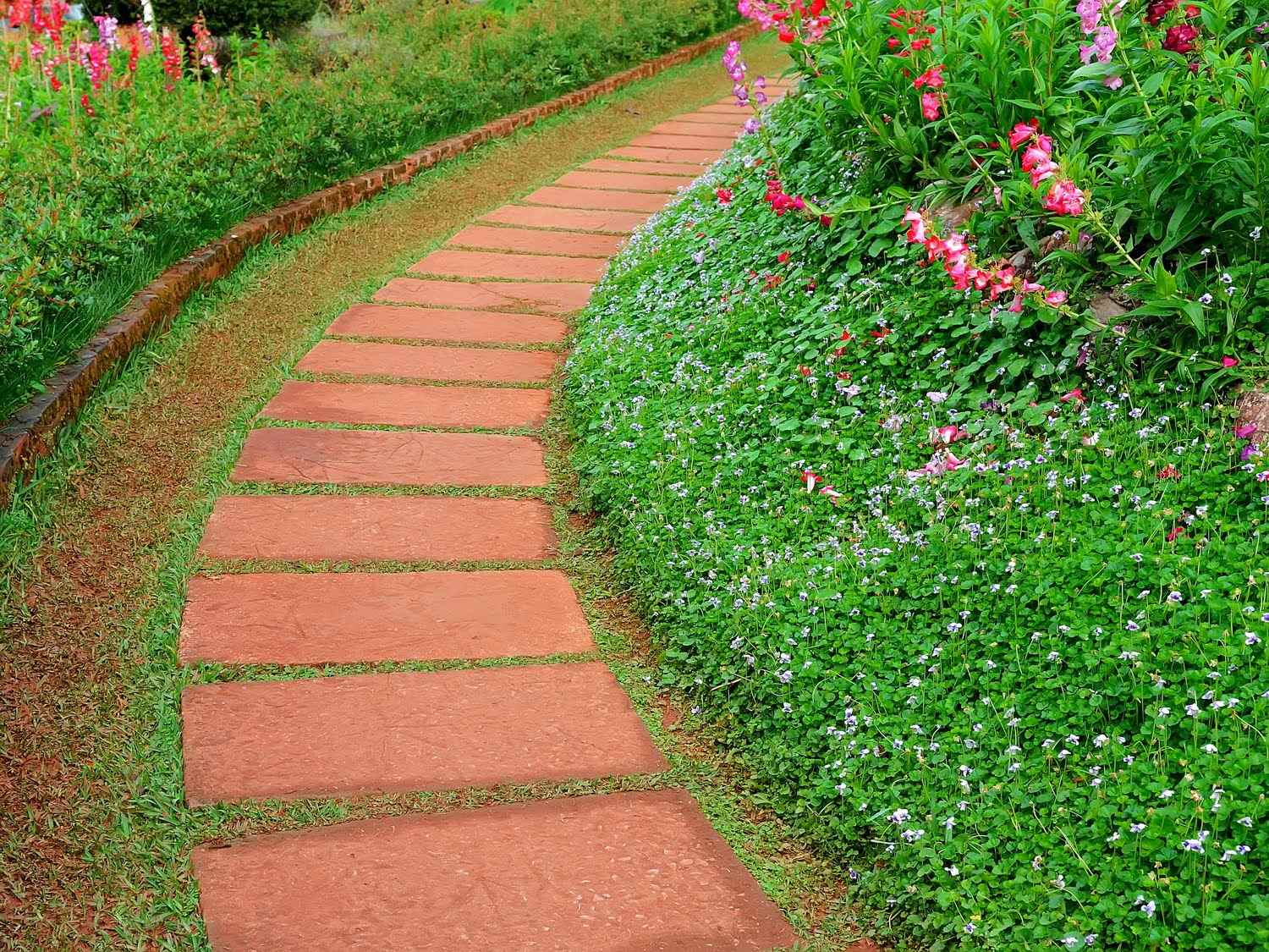 la possibilità di utilizzare percorsi di giardini luminosi nella progettazione del cortile