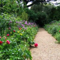 l'idea di utilizzare splendidi percorsi da giardino nel design dell'immagine del cortile