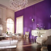 la possibilité d'utiliser une couleur lilas brillante à l'intérieur de la photo