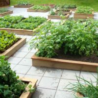 Un esempio di un bellissimo giardino progettato in un cortile privato