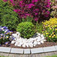 example of an unusual decor of a front garden in a private courtyard photo