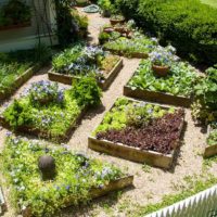 Un esempio di un luminoso giardino progettato in un cortile privato