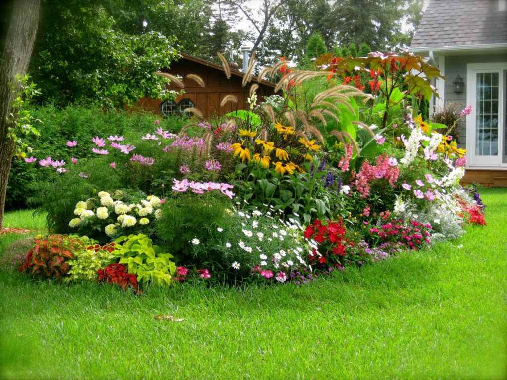 An example of a bright decor of the front garden at the cottage