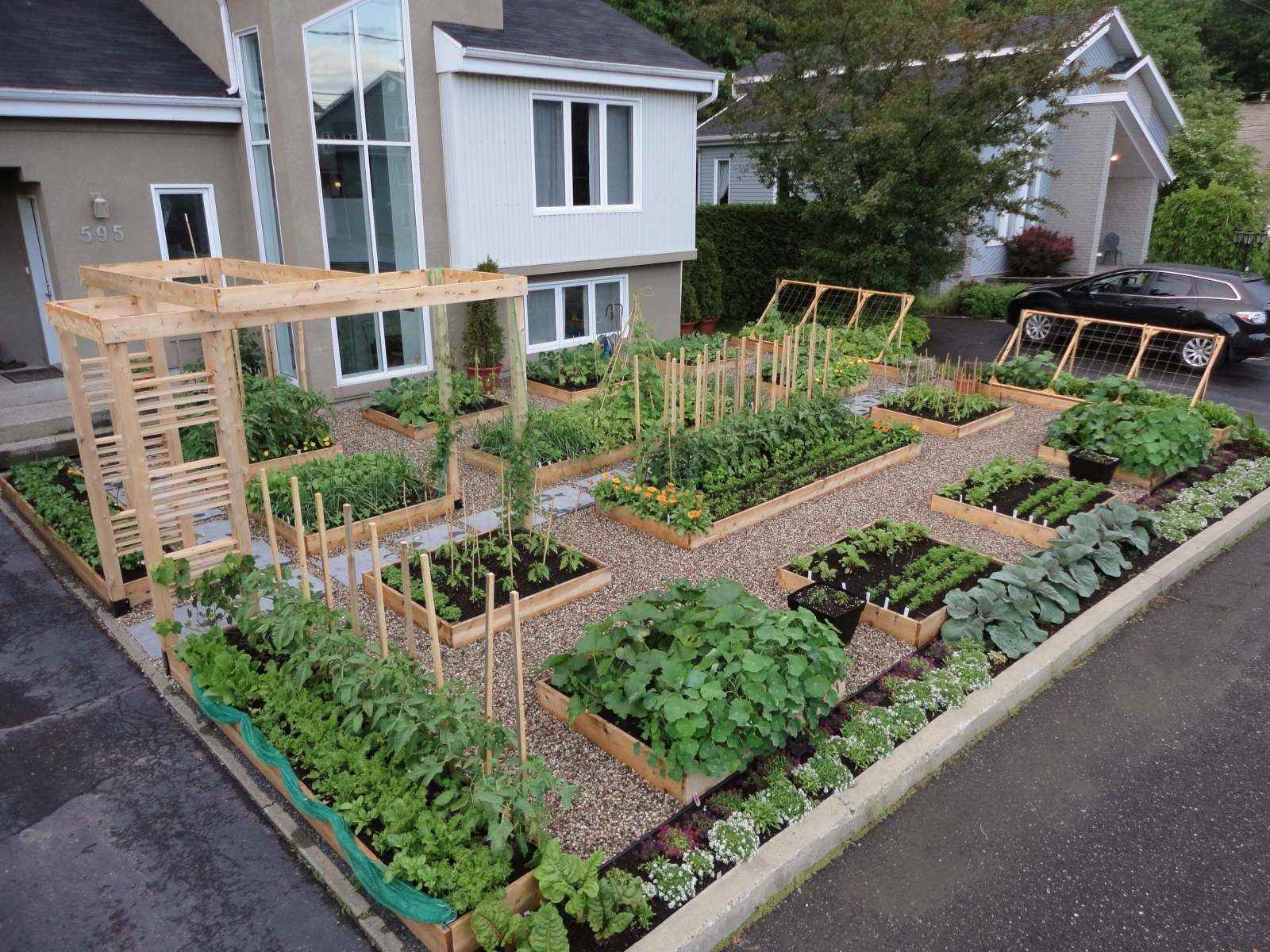 idée de la conception lumineuse d'un jardin dans une cour privée