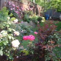 An example of a light decor of a front garden in the country photo