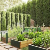 The idea of ​​a light garden design in the country