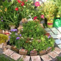 an example of an unusual decor of a front garden at the cottage picture