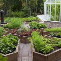 Un esempio di un brillante design di un giardino in una casa di campagna