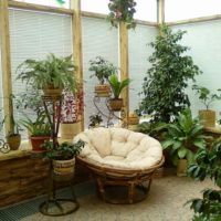 Un esempio di applicazione di idee brillanti per decorare un giardino d'inverno