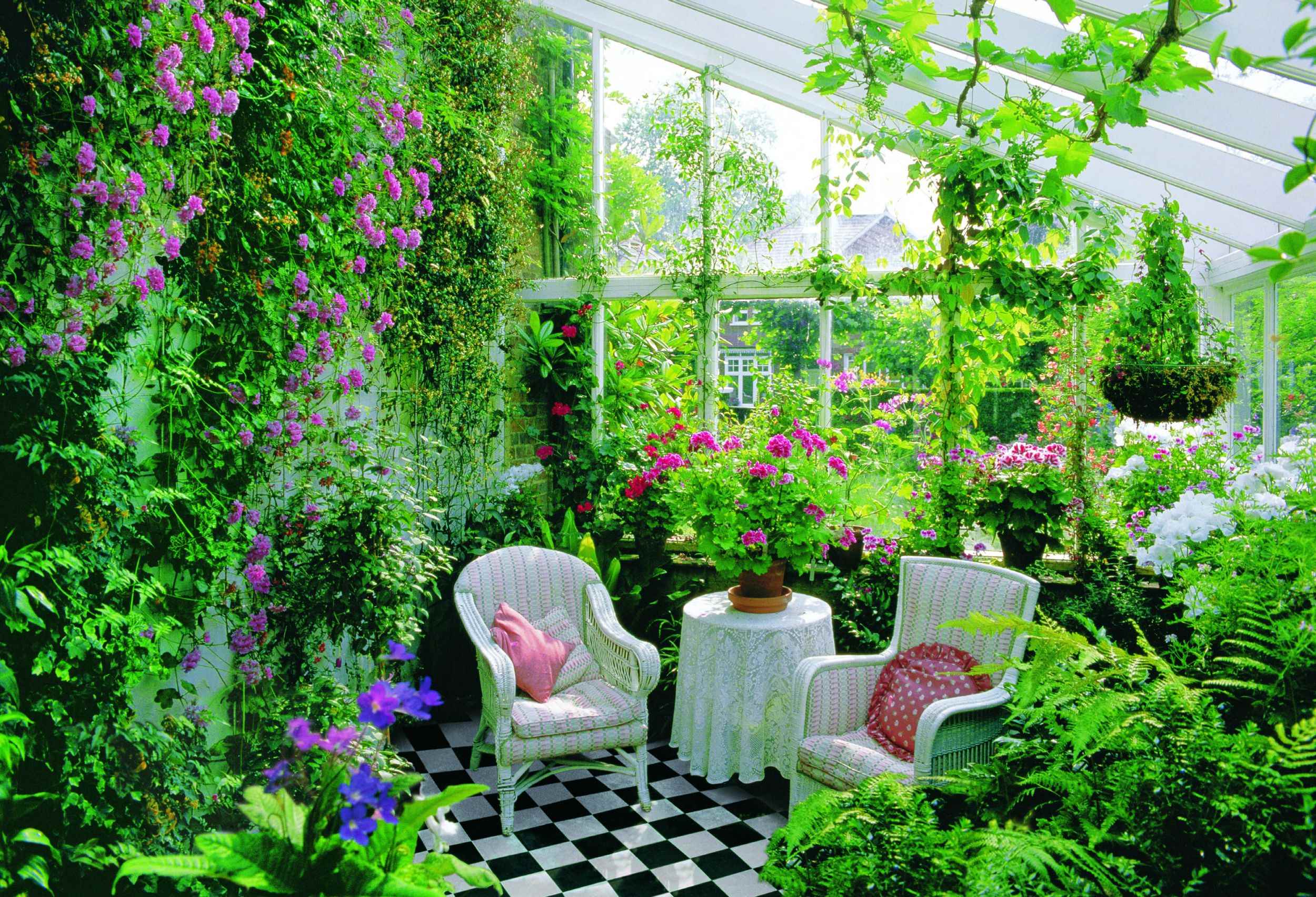 l'idea di usare idee brillanti per decorare il giardino d'inverno