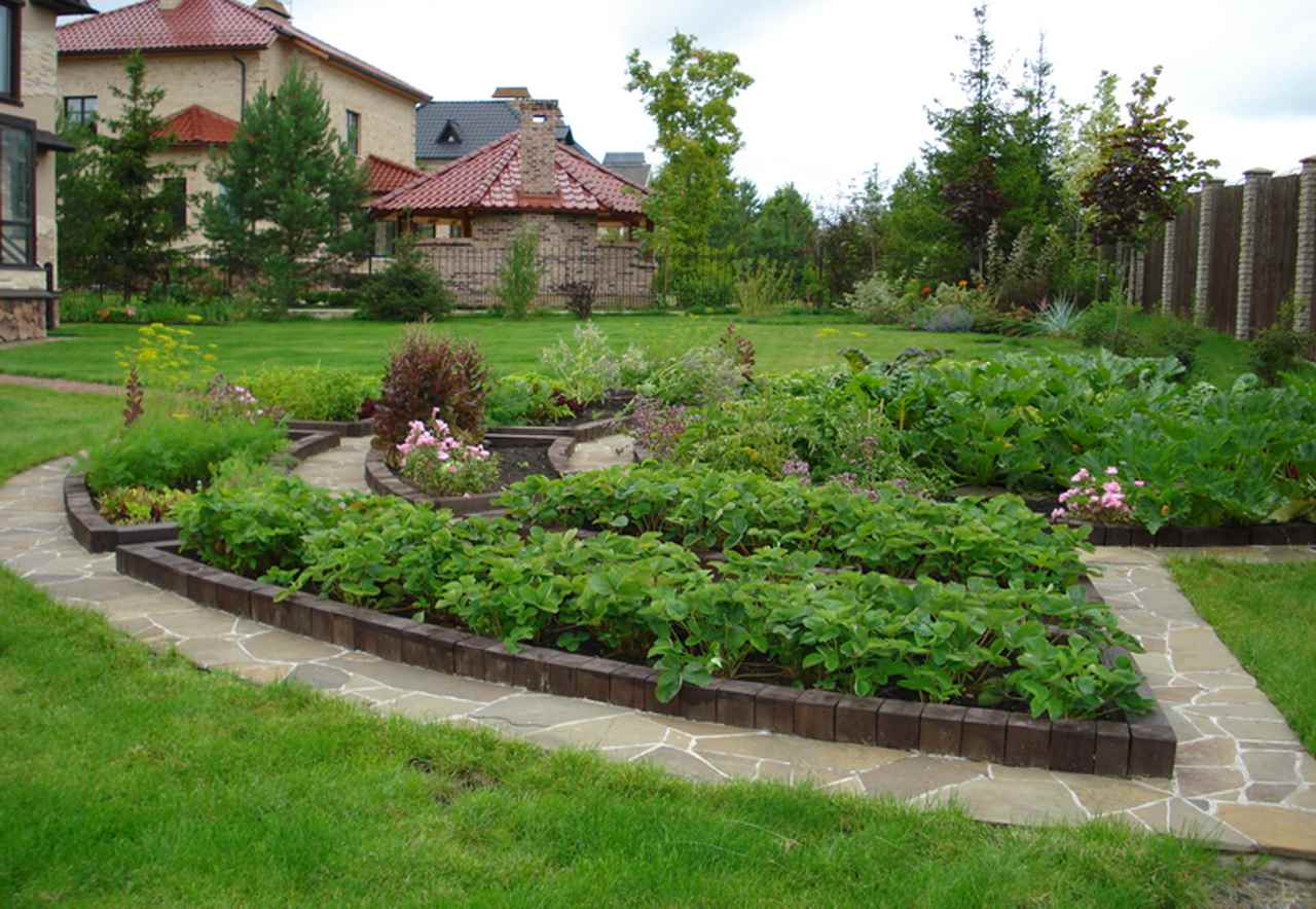 Un exemple de décor de jardin insolite dans une cour privée