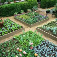 Un esempio di una decorazione leggera di un giardino in una foto di una casa di campagna