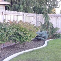 variant of a bright garden design in a private courtyard