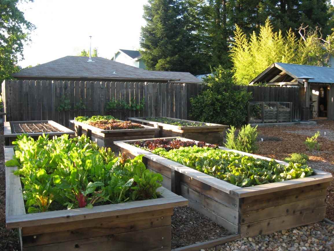 idea di una decorazione leggera di un giardino in un cortile privato