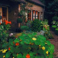 versione dell'insolito arredamento del giardino anteriore in una foto di un cortile privato