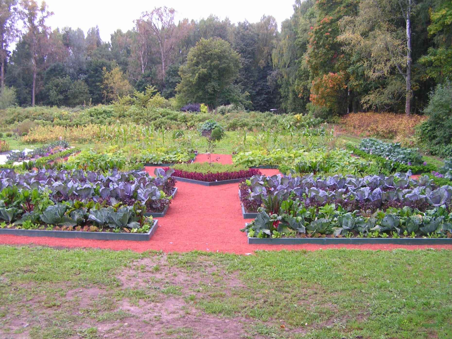 versione di un bellissimo design del giardino in campagna