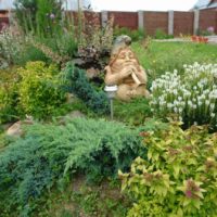 l'idée d'un décor insolite du jardin à la campagne photo