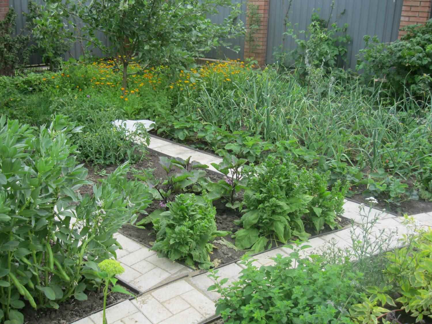 l'idea di un insolito design di un giardino in campagna