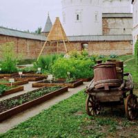 Un esempio di un arredamento luminoso di un giardino in un cortile privato