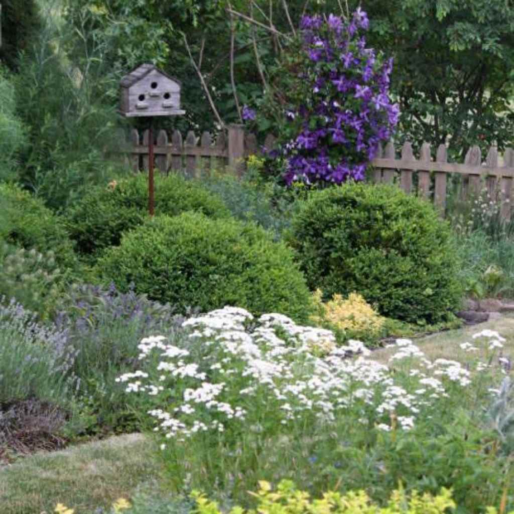 Un esempio di un bellissimo decoro di un giardino antistante in campagna