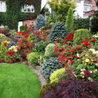 version of the unusual design of the front garden in the country photo