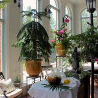 An example of using bright ideas for decorating a winter garden photo