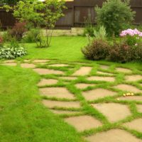 An example of the use of light garden paths in the design of the courtyard photo