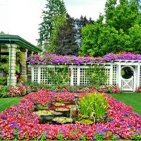 Un esempio di una decorazione leggera di un giardino anteriore in un cortile privato