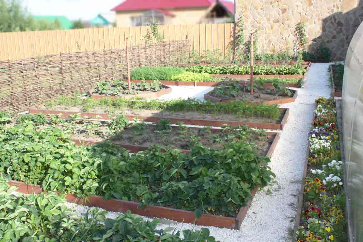 variant of the bright design of the garden in a private courtyard