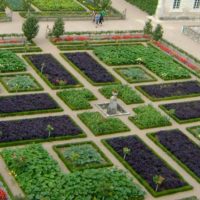 Un esempio di un bellissimo design da giardino in una foto di un cortile privato