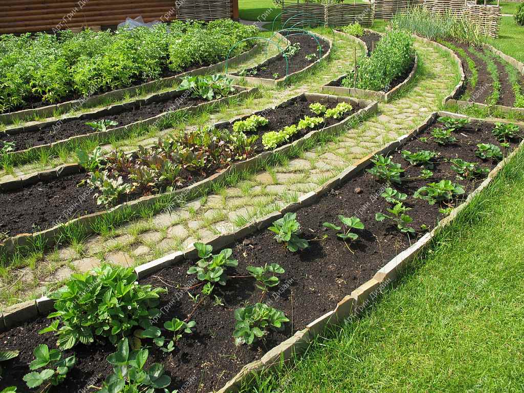 opzione di una decorazione leggera di un giardino nel paese