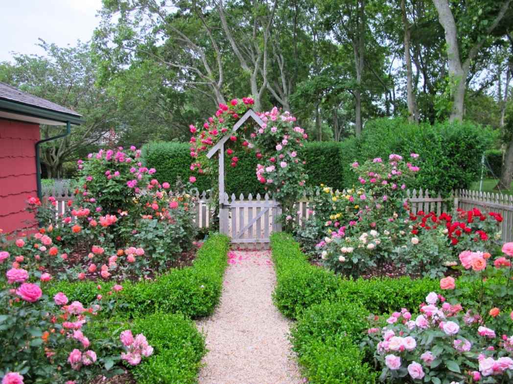 esempio di un bellissimo disegno del giardino anteriore in un cortile privato