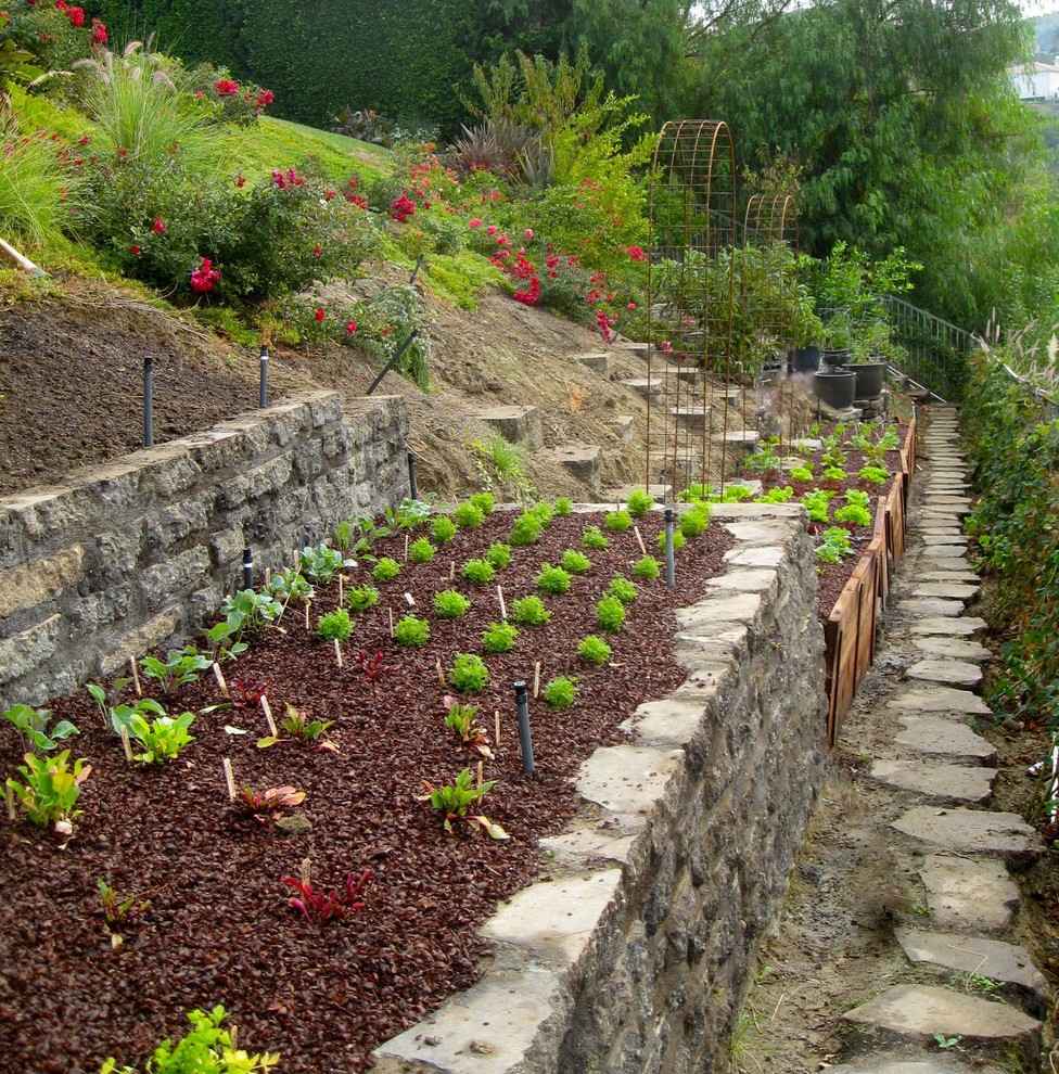 beds in the country photo