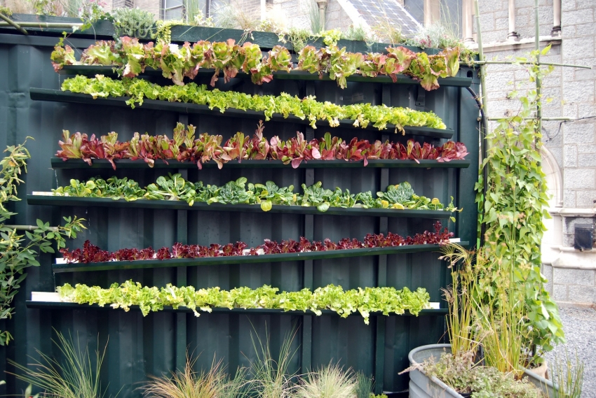 hanging beds in the country