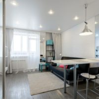 studio apartment 30 sq m best design