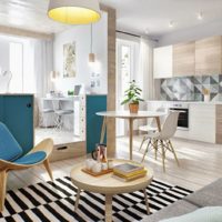 studio apartment 42 sq m photo design