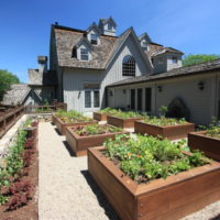 jardin avec des lits de jardin