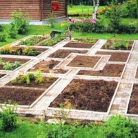 garden with garden beds cottage design