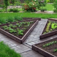 jardin avec lits de jardin idées de conception de chalet